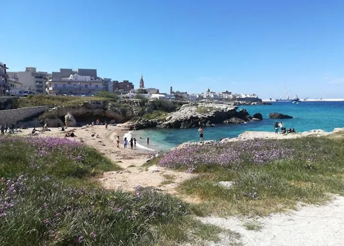 Eco Del Mare Locazioni Turistiche 아파트 *